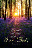 Bulletin # 3713 Be still & Know