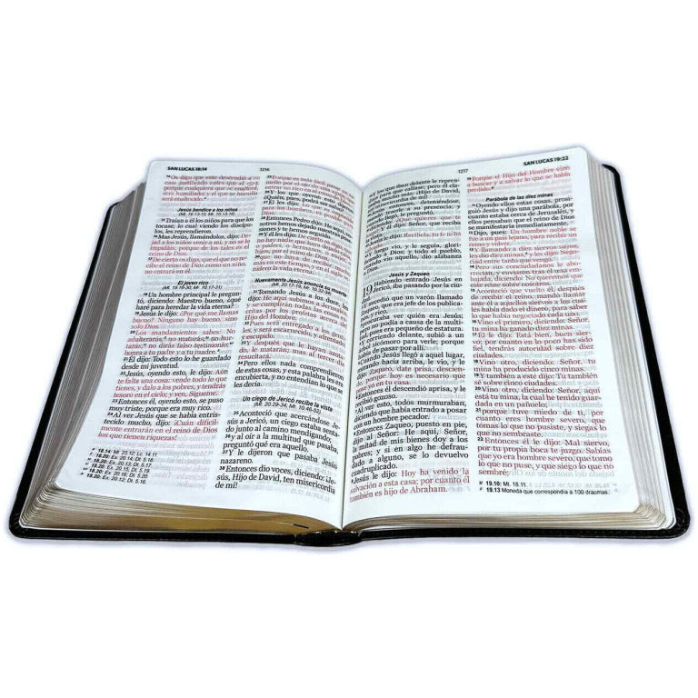 Una Biblia abierta, de tamaño de bolsillo, de la versión Reina-Valera 1960 con letra grande, descansa sobre una superficie blanca; algunos pasajes están impresos en rojo, lo que resalta las palabras de Jesús, mientras que el texto aparece claramente en español.