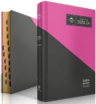 Se muestran dos libros colocados en posición vertical: uno con una cubierta rosa y negra en la que se lee «Santa Biblia» y el otro —una «Biblia gigante Reina-Valera 1960»— con separadores de papel visibles que facilitan la consulta.