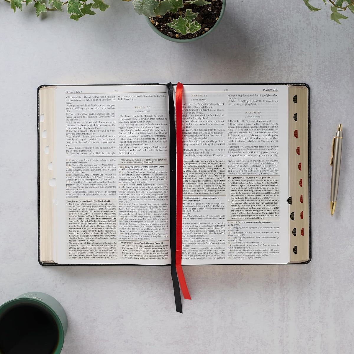 Una Biblia de letra grande abierta, con una cinta roja a modo de marcapáginas, en la que se ven los Salmos 22-25 junto a unas notas de estudio dispuestas en columnas.