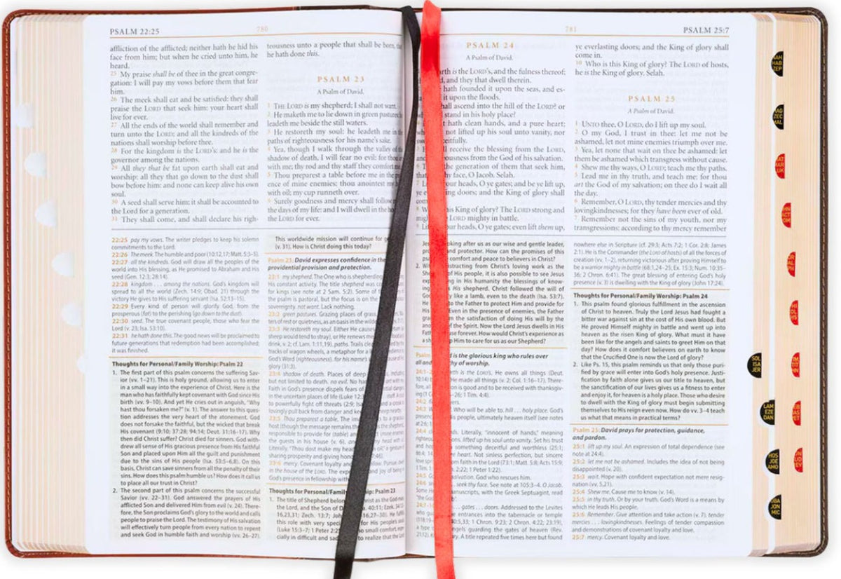 Biblia de letra grande y abierta que muestra las páginas de los Salmos 22-25 con notas de estudio y comentarios impresos.