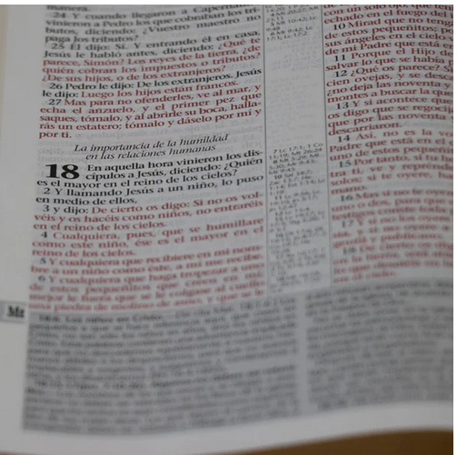 Un primer plano de una página de la Biblia Reina-Valera Gómez en la que aparece Mateo 18, con texto en negro y rojo; la página está ligeramente inclinada y parte del texto circundante —perfecto para los Estudios Bíblicos Esenciales o un Comentario de Elena G. de White— aparece borroso.