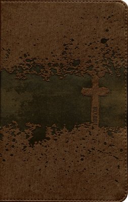 Bible 758464 Kid's Visual NIV Brown