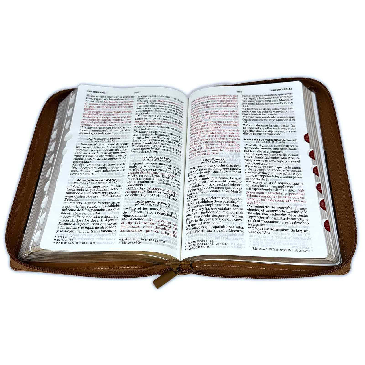 Una Biblia RVR 1960 de tapa blanda con una cubierta marrón con cremallera, en la que aparecen las «Palabras de Jesús» en rojo sobre fondo negro, además de separadores de secciones en el lado derecho. Perfecta como Biblia con concordancia para el estudio y la reflexión.