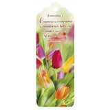 Marcador 3D Tulipanes