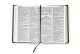 Biblia LG 15pt RV95 Vino Oscuro 50405