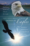 Bulletin # U7487 Wings as Eagles
