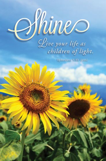Primer plano de girasoles en un campo bajo un cielo azul, con la frase «Brillad. Vivid vuestra vida como hijos de la luz. Efesios 5:8b (NVI)», ideal para boletines cristianos o para la portada de un orden del servicio de la iglesia.