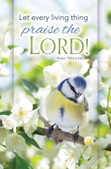 Un pequeño pájaro azul y amarillo se posa en una rama en flor junto a un texto que dice: «¡Que todo ser viviente alabe al Señor! Salmo 150:6 (CEB)», ideal para boletines de iglesia o para imprimir el orden del servicio.