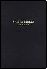 Biblia Bilingue Letra Grande Imit Piel Negra