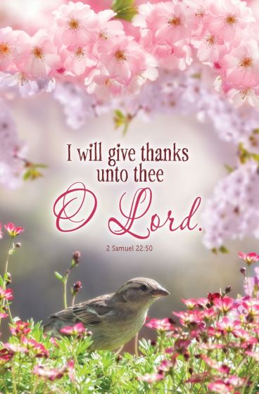 Un pajarito se encuentra entre flores rosas, con ramas en flor sobre su cabeza. Ideal para boletines de iglesia; el texto reza: «Te daré gracias, oh Señor». 2 Samuel 22:50.
