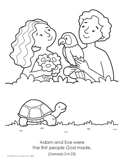 Ilustración en blanco y negro para colorear en la que aparecen Adán y Eva sosteniendo un pájaro y unas flores, con una tortuga debajo. Perfecta para niños de 2 a 4 años; la leyenda señala que fueron los primeros seres humanos que creó Dios, en referencia a Génesis 2:4-25.