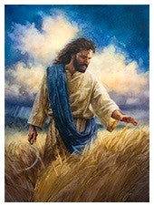 Un hombre con el pelo largo y barba, vestido con una túnica y una faja azul, camina por un campo de trigo bajo un cielo parcialmente nublado, acariciando suavemente el trigo: una imagen perfecta para una tarjeta postal de 5 x 7 pulgadas.