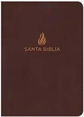 Biblia LG 14pt NVI Cafe 99534