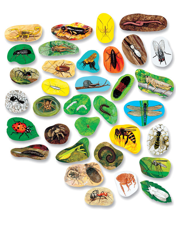 Una colección de piedras pintadas, cada una de las cuales presenta una ilustración detallada de diversos insectos, arañas y pequeños animales —como si fueran figuritas educativas de bichos— sobre fondos de distintos colores.