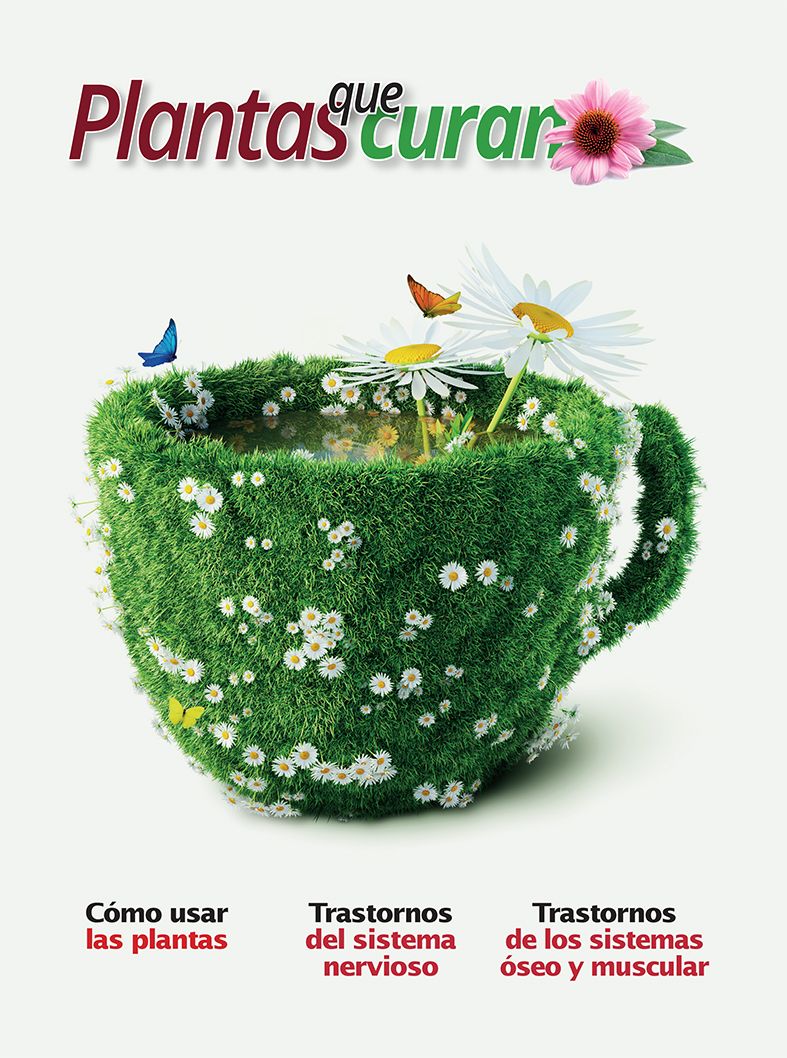 Una taza cubierta de hierba y margaritas con mariposas posadas sobre ella; el texto en español describe las plantas medicinales, su preparación y sus usos para problemas de salud comunes.
