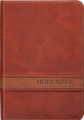 Bible KJV Compact Brown 117337