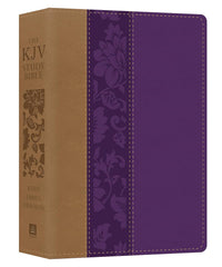 Bible KJv Study Bible 228448