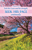 Bulletin # 4202 Seek the Lord