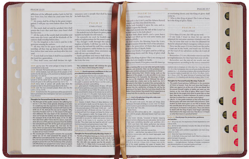 Una Biblia de la Versión del Rey Jacobo abierta, con dos marcapáginas de cinta, en la que se ve un fragmento del Libro de los Salmos. Las páginas cuentan con separadores de colores a lo largo del borde derecho, ideales para añadir notas de estudio o un registro familiar.