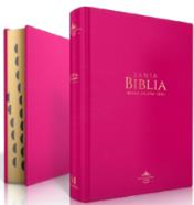 Se muestran dos libros de tapa dura de color rosa con el título «Santa Biblia, edición Reina Valera 1960»; uno está cerrado y se ve la portada, mientras que el otro está abierto y se aprecian las páginas con bordes dorados y separadores: una práctica Biblia con índice.