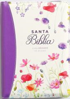 Biblia LG 11pt Lila Cierre 62401