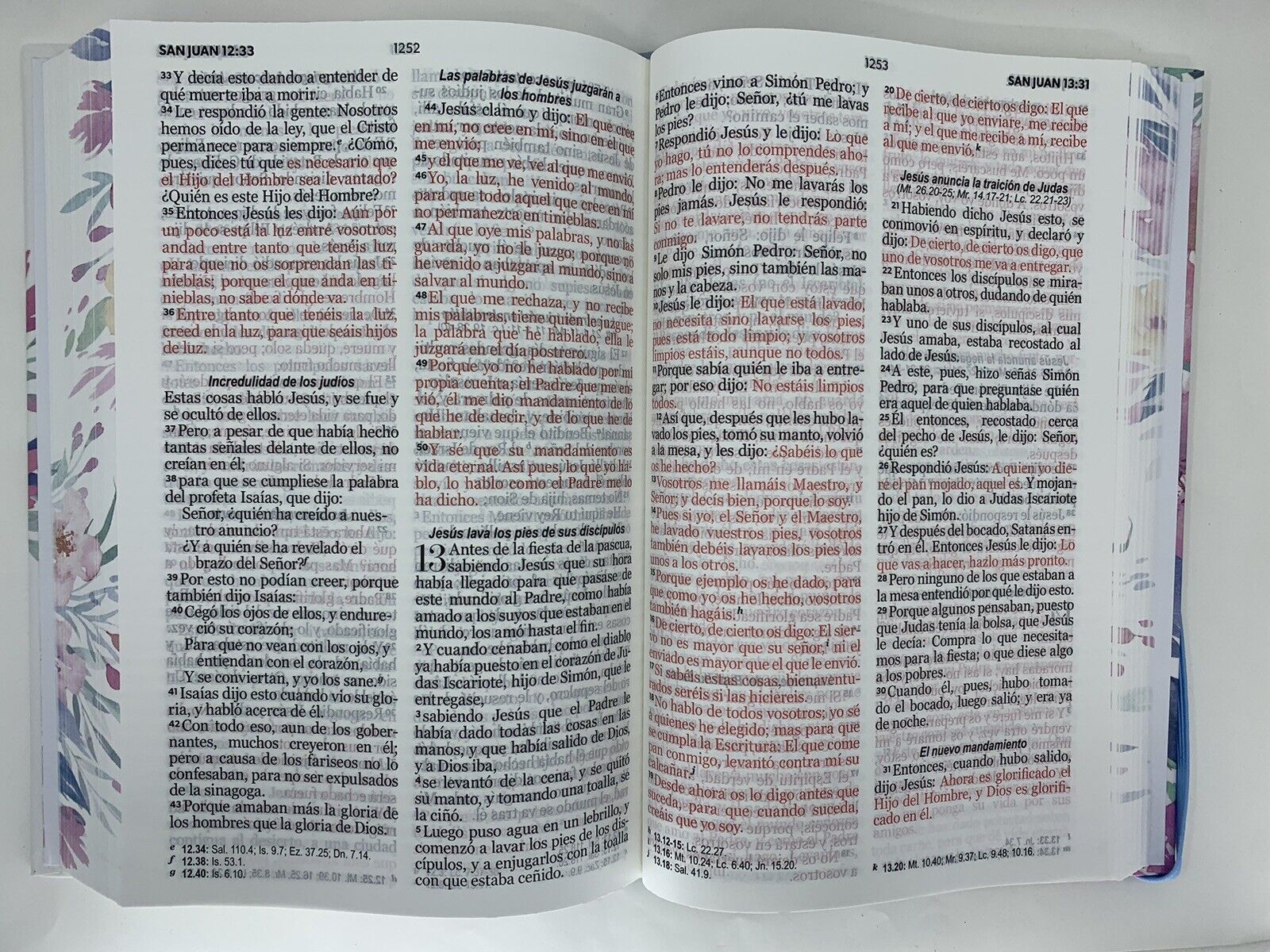 Biblia de uso personal en español, edición Reina-Valera 1960, abierta en dos páginas con texto en negro y rojo, bordes con motivos florales y números de capítulo y versículo visibles.