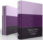 Se muestran dos libros de tapa dura con cubiertas moradas y negras, colocados en posición vertical; en la portada de uno de ellos aparece la «Santa Biblia»: una edición de la Reina Valera 1960 con letra gigante y una Biblia con índice para facilitar la consulta.