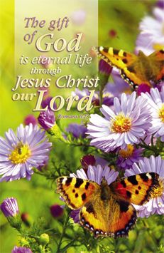 Dos mariposas descansan sobre margaritas moradas, creando una escena apacible que suele aparecer en los boletines de la iglesia. El texto dice: «El don de Dios es la vida eterna por medio de Jesucristo, nuestro Señor». Romanos 6:23.