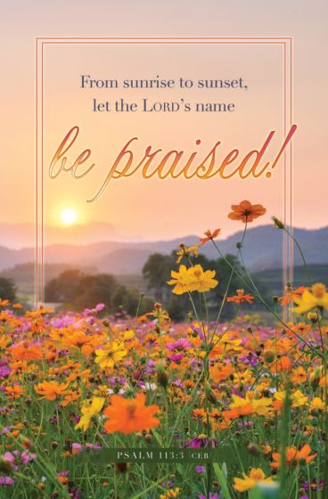 Un campo de flores silvestres al amanecer con el texto: «Desde el amanecer hasta el atardecer, ¡sea alabado el nombre del Señor!». Salmo 113:3 (CEV). Perfecto para boletines para imprimir o como un detalle especial para tus boletines para la iglesia.