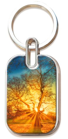 Llavero metálico con una placa rectangular en la que aparece la imagen de un gran árbol con las ramas desnudas y la luz del sol filtrándose al atardecer, junto con el reconfortante mensaje «no temas», inspirado en el versículo bíblico de Isaías 41:10.