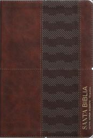 Una cubierta de libro encuadernada en cuero con un diseño marrón y oscuro, en cuya esquina inferior derecha aparece impreso en dorado el texto «Santa Biblia, Reina Valera 1960» y otras inscripciones en español.