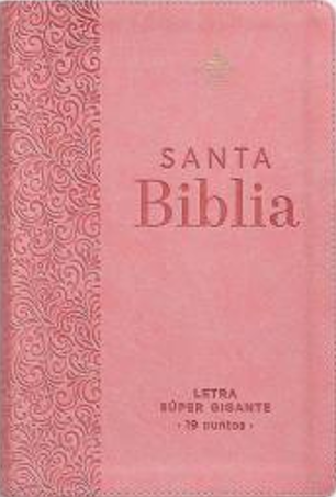 Portada rosa de una Biblia española «Reina Valera 1960 con índice», con un diseño ornamentado a la izquierda, el título «Santa Biblia» en letras grandes y la indicación «Letra Súper Gigante 19 puntos» en la parte inferior.