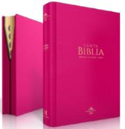 Se muestran dos Biblias en español de tapa dura de color rosa, de la versión Reina-Valera 1960, colocadas en posición vertical; una muestra el título en letras doradas en la portada, y la otra deja a la vista el lomo, las páginas con separadores y características como la «letra grande» para facilitar la lectura.