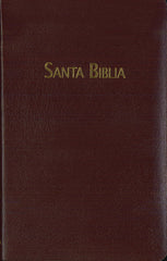 Biblia Himnario Vino