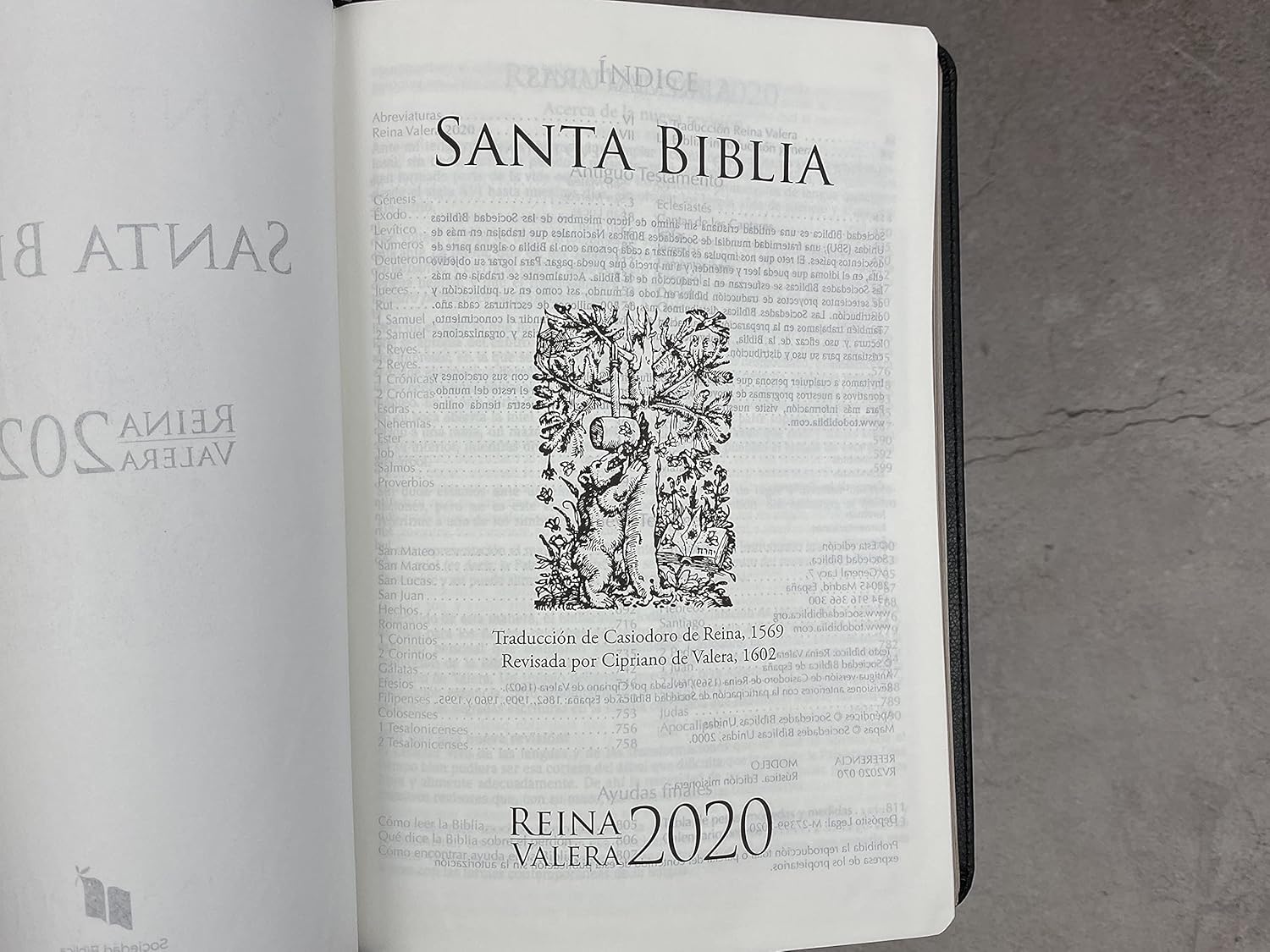 Portada de una Biblia en español, «Santa Biblia», edición Reina-Valera 2020, con una ilustración en blanco y negro y los datos de la traducción: perfecta para tu «Biblia ultrafina» con tapa en dos tonos.