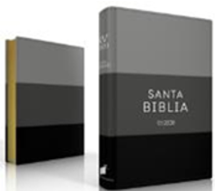 Dos libros de tapa dura con cubiertas negras, grises y blancas: uno en posición vertical, en el que se lee el título «Santa Biblia Reina Valera 2020 letra grande», y el otro en posición horizontal, con el lomo a la vista.