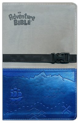 Bible 727538 Adventure NIV Gray Blue Kids