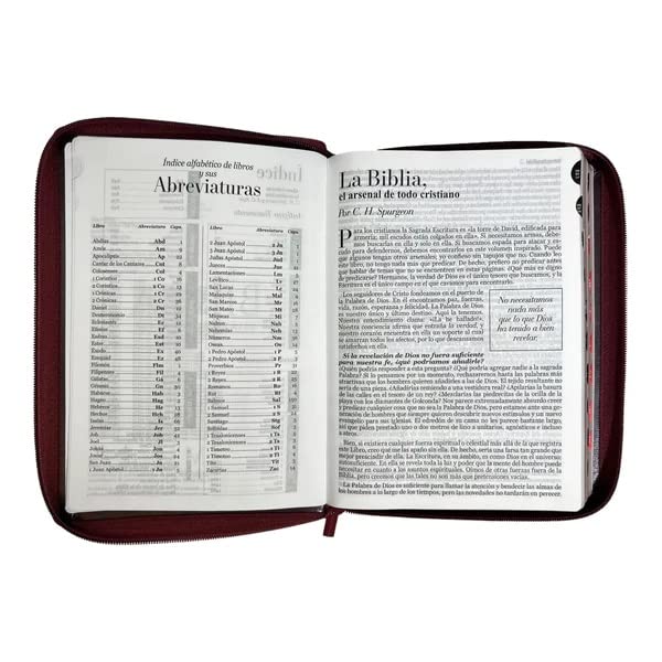 Una Biblia en español «Reina Valera 1960» con cierre, abierta, muestra a la izquierda una página con las abreviaturas de los libros y, a la derecha, el texto introductorio titulado «La Biblia».