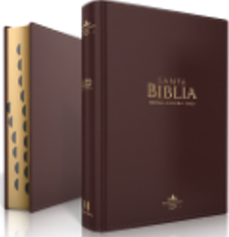 Se muestran dos libros de tapa dura de color marrón titulados «Santa Biblia»: uno cerrado, en el que se ve la portada, y otro abierto, en el que se aprecian las pestañas del índice en el lateral. Estas Biblias de tamaño de bolsillo son de la edición Reina Valera 1960, con las palabras de Jesús en rojo para facilitar la lectura.