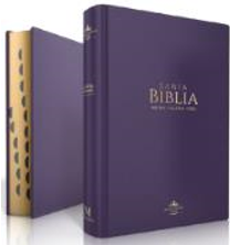 Dos Biblias de tapa dura de color morado: una abierta, con separadores de índice y letra grande, y la otra cerrada, con las inscripciones «Santa Biblia» y «Nueva Versión Internacional» en letras doradas en la portada. Ideal como Biblia con índice.