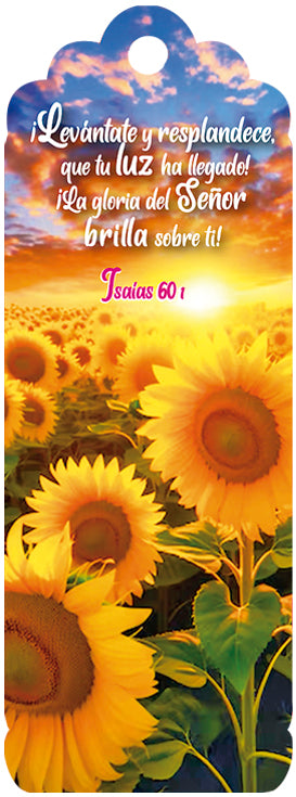Un campo de girasoles al amanecer con un texto en español de Isaías 60:1: «Levántate y resplandece», que celebra la gloria de Dios brillando sobre el paisaje.
