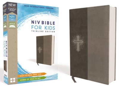 Bible 764250 NIV Gray Kids