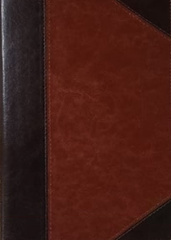 Bible Mission Study Brown