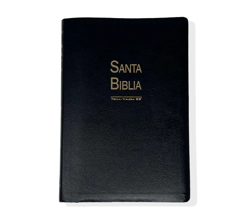 Un libro encuadernado en cuero negro titulado «Santa Biblia», con la indicación «Biblia Reina-Valera 60 y letra grande para una lectura fácil» escrita debajo del título en la portada.