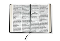 Biblia LG 15pt RV95 Vino Oscuro 50405