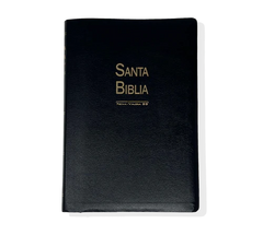 Biblia LG 15pt RV95 Negro 50399