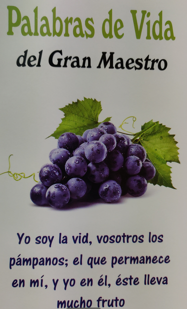 Debajo de un texto en español de la Biblia aparece un racimo de uvas moradas con hojas verdes, en el que se lee la frase «Palabras de Vida del Gran Maestro», que inspira la vida cristiana y las experiencias profundas en Cristo.