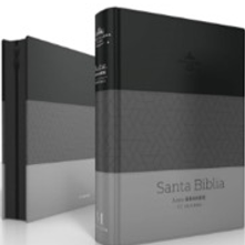 Biblia Portatil 11pt Gris 66133