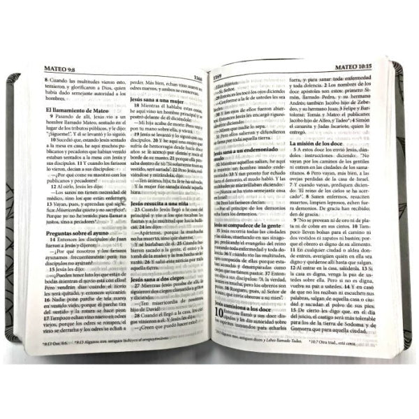 Biblia en español abierta, en la que se ven páginas del Evangelio según San Mateo, capítulos 9 y 10, con texto en negro de tipo «Letra Grande» y en dos columnas sobre papel blanco, de la edición «Reina-Valera Actualizada Biblia Ilustrada».